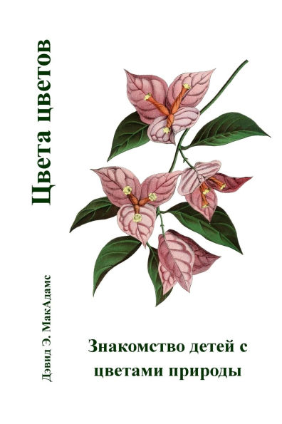 Цвета цветов: Знакомство детей с цветами п