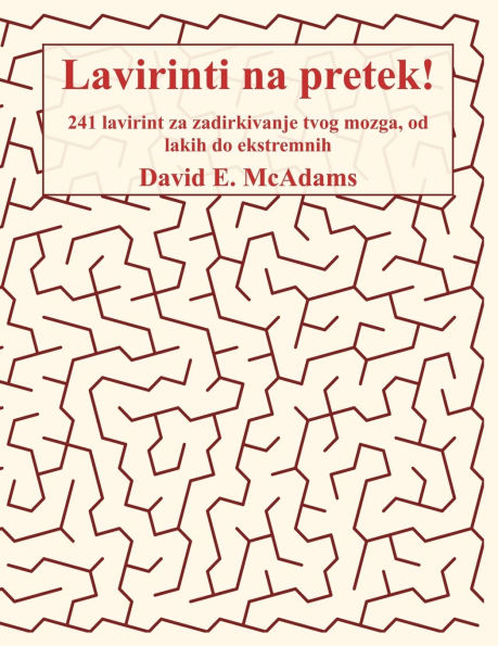 Lavirinti na pretek!: 241 lavirint za zadirkivanje tvog mozga, od lakih do ekstremnih
