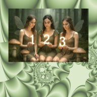 Title: द फेरी नंबर बुक: आरंभिक सीखने वालों के लिए सं, Author: David E McAdams