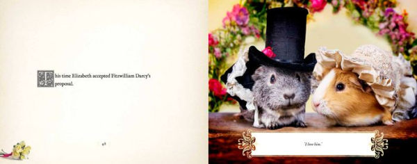 A Guinea Pig Pride & Prejudice