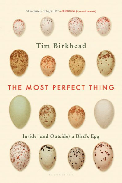 The Most Perfect Thing: Inside (and Outside) a Bird's Egg