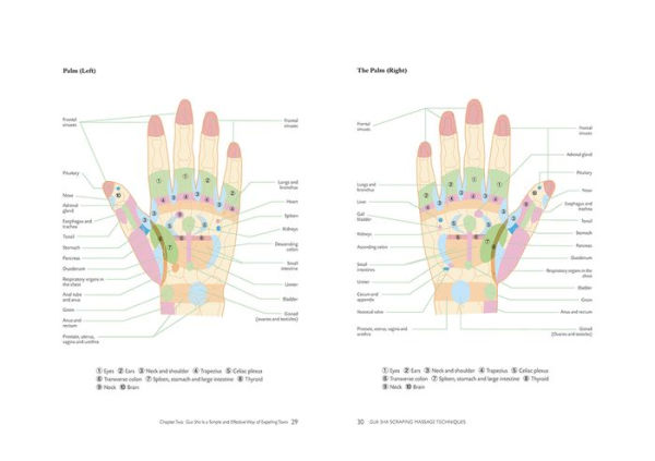 Gua Sha Scraping Massage Techniques: A Natural Way of Prevention and Treatment through Traditional Chinese Medicine