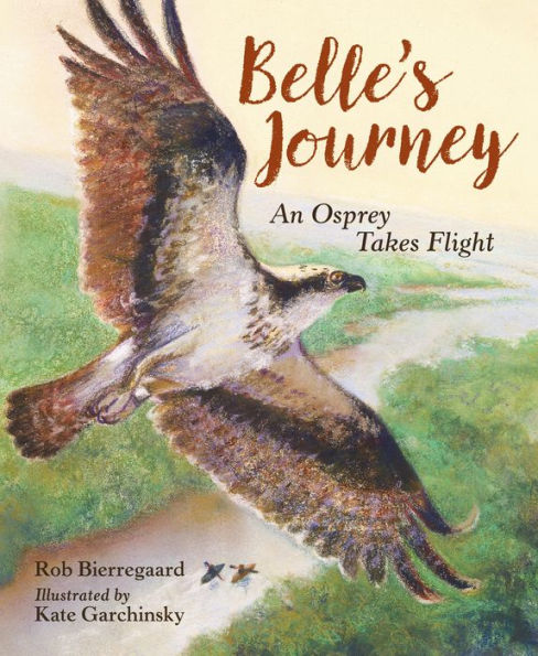 Belle's Journey: An Osprey Takes Flight