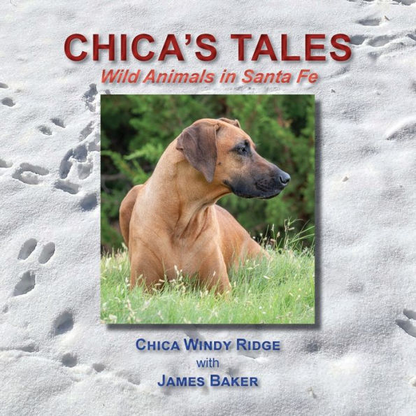 Chica's Tales, Wild Animals Santa Fe