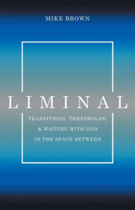 Google book download online free Liminal: Transitions, Thresholds, and Waiting with God in the Space Between iBook by  9781632964809
