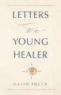 Letters to a Young Healer