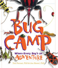 Title: Bug Camp: Where Every Day's an Adventure, Author: Tim Forrest