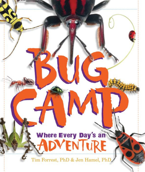 Bug Camp: Where Every Day's an Adventure