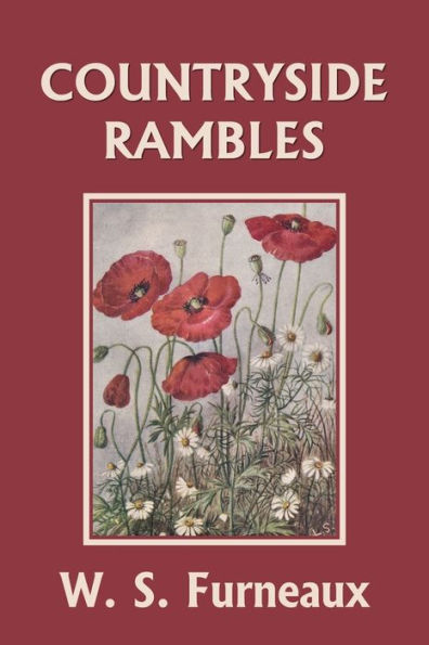 Countryside Rambles (Yesterday's Classics)