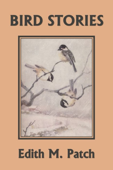 Bird Stories (Yesterday's Classics)