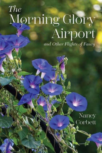 The Morning Glory Airport and Other Flights of Fancy