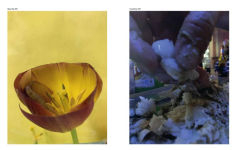 Alternative view 2 of Wolfgang Tillmans: To look without fear