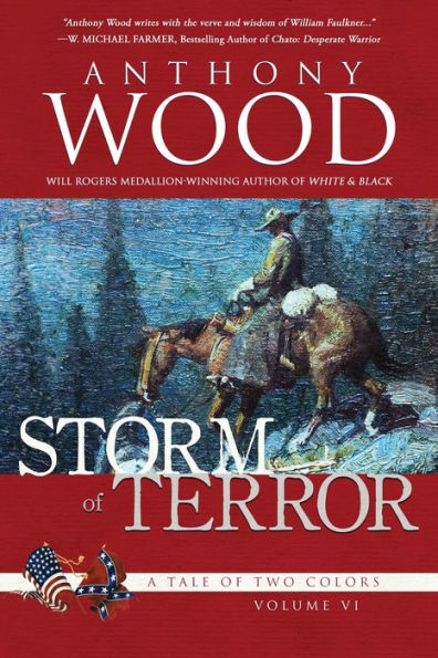 Storm of Terror: A Story the Civil War