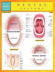 Title: Dental Anatomy (Speedy Study Guides), Author: Speedy Publishing LLC