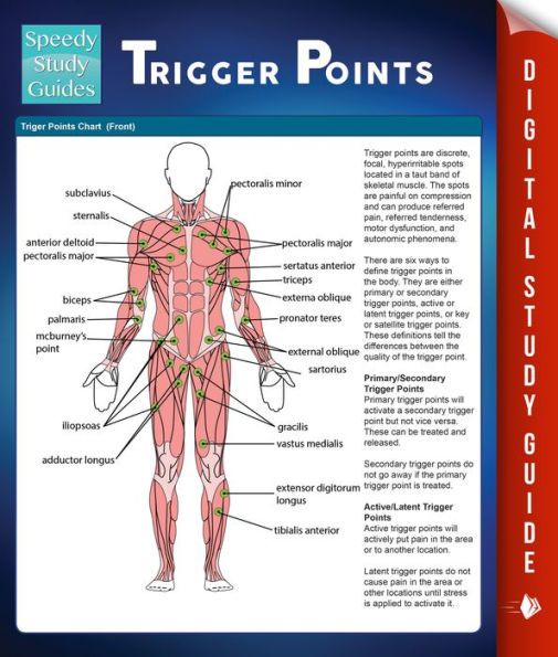 Trigger Points (Speedy Study Guides)