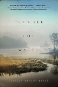 Title: Trouble The Water: A NOVEL, Author: Rebecca Dwight Bruff