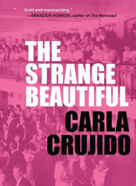 Download textbooks to ipad free The Strange Beautiful iBook 9781634050531 (English Edition)