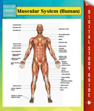 Title: Muscular System (Human) Speedy Study Guides, Author: Speedy Publishing