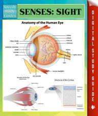 Title: Senses: Sight Speedy Study Guides, Author: Speedy Publishing