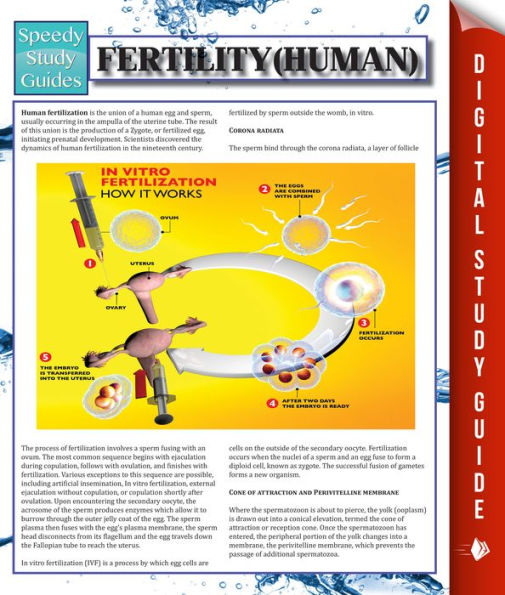 Fertility (Human)