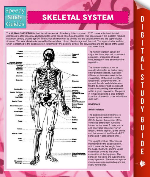 Skeletal System: Speedy Study Guides