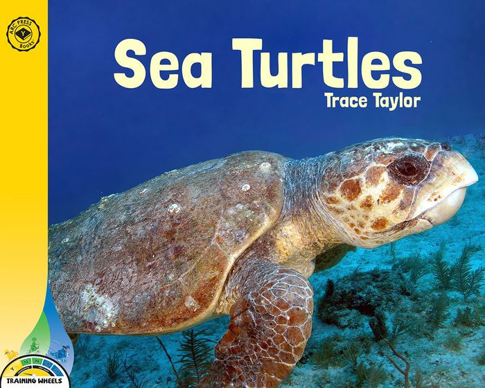 Sea Turtles by Trace Taylor, Paperback | Barnes & Noble®