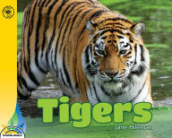 Title: Tigers, Author: Trace Taylor