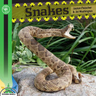 Title: Snakes, Author: Jayson Fleischer