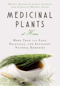 Essential Oils Ancient Medicine For A Modern World By Jordan Rubin Nook Book Ebook Barnes Noble