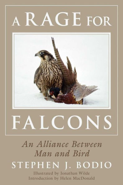 A Rage for Falcons: An Alliance Between Man and Bird