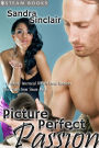 Picture Perfect Passion - A Sexy Interracial BWWM Erotic Story from Steam Books