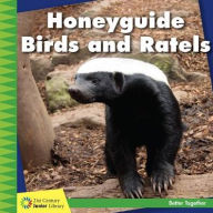 Title: Honeyguide Birds and Ratels, Author: Kevin Cunningham