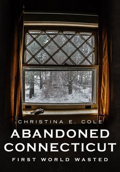 Abandoned Connecticut: First World Wasted