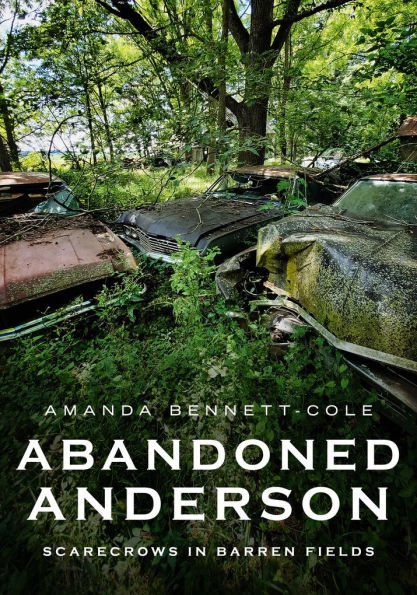 Abandoned Anderson, Indiana: Scarecrows in Barren Fields