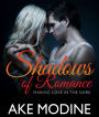 Shadows of Romance: Making Love in the Dark