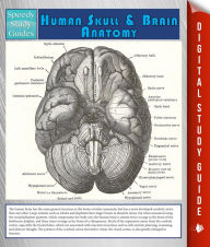 Title: Human Skull And Brain Anatomy (Speedy Study Guide), Author: Speedy Publishing