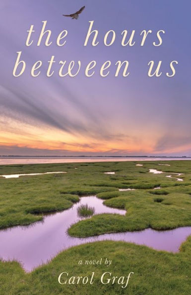 The Hours Between Us