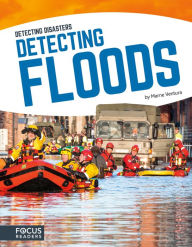 Title: Detecting Floods, Author: Marne Ventura