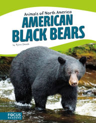 Title: American Black Bears, Author: Tyler Omoth