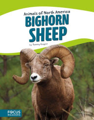 Title: Bighorn Sheep, Author: Tammy Gagne