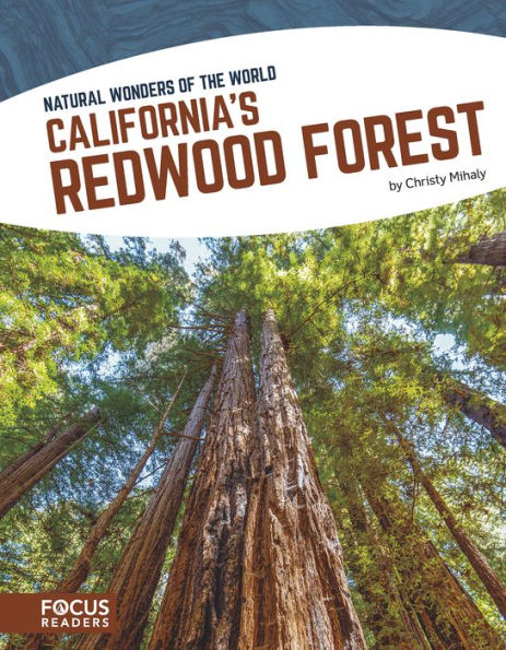 California's Redwood Forest