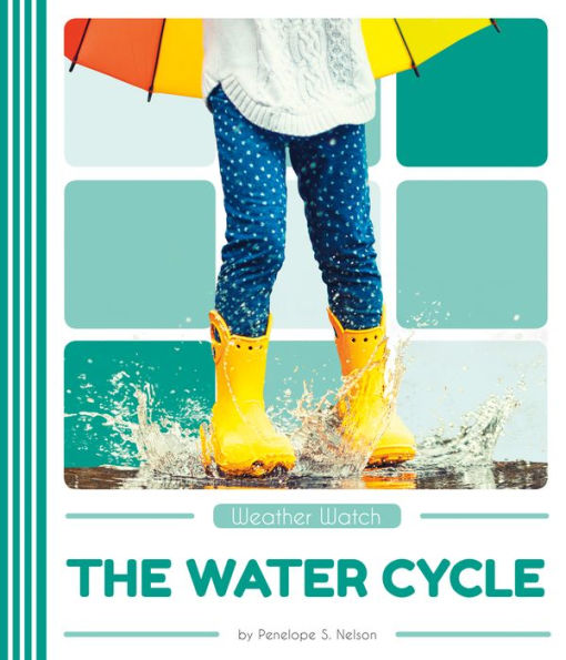 The Water Cycle