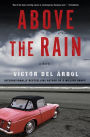 Above the Rain: A Novel