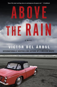 Free online non downloadable audio books Above the Rain: A Novel RTF PDB