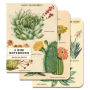 3 Mini Notebooks - Succulents