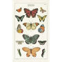 Butterlfies Tea Towel