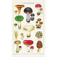 Title: Cavallini Tea Towel - Mushrooms