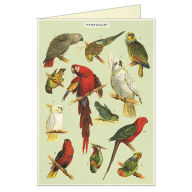 Title: Parrots Greeting Card