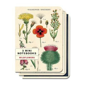 Cavallini Mini Notebooks (Set of 3) - Wildflowers
