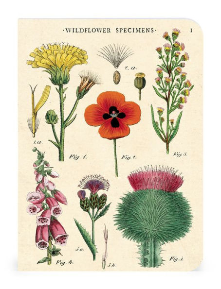 Cavallini Mini Notebooks (Set of 3) - Wildflowers